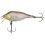 Fox Rage Wobler Funk Bug 40mm SR UV Striped Shiner