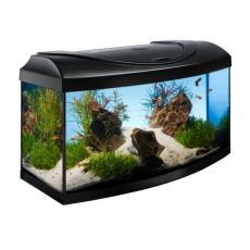 Akvarij STARTUP 60 LED Expert 10W - upognjen - črn