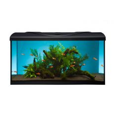 Akvarij STARTUP 80 LED Expert 16W - raven - črn 