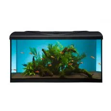 Akvarij STARTUP 80 LED Expert 16W - raven - črn 