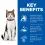 Hill's Science Plan Feline Mature Adult 7+ Chicken 10 kg + stelja BREZPLAČNO