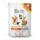 Brit Animals Alfalfa Snack za glodavce 100g