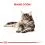 ROYAL CANIN Maine Coon Adult briketi za mačke Maine Coon 2 kg