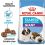 ROYAL CANIN GIANT STARTER M&B – 2 x 15 kg