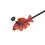Delphin CARPY signalizator z naramnico zelena