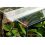 TERRASET 30 FOREST terarij - 30 x 25 x 35 cm