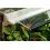 TERRASET 30 FOREST terarij - 30 x 25 x 35 cm