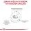 Royal Canin Veterinary Health Nutrition Dog Skin Care Adult 2 x 11 kg