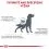 Royal Canin Veterinary Health Nutrition Dog Skin Care Adult 2 x 11 kg