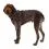 Ruffwear Front Range&reg; Harness oprsnica, Moonlight Mountains XXS