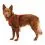Ruffwear Front Range&reg; Harness oprsnica, Red Canyon XS