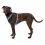 Ruffwear Hi & Light&trade; Harness oprsnica, Blue Dusk XXS