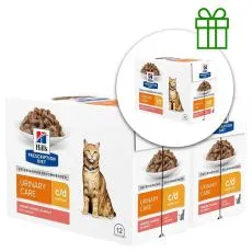 Hill's Prescription Diet Canine c/d Multicare Salmon 12 x 85 g, 2+1 BREZPLAČNO