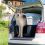Ferplast transportni boks Clipper 7 Plus Trasportino