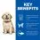 Hill's Science Plan Canine Puppy Large Breed Chicken 2,5 kg