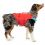 Kurgo Surf N Turf Dog Life Jacket Plavalni jopič za pse, S rdeč