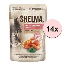 Shelma Cat vrečka losos-spirulina v omaki 14 x 85 g