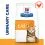 Hill's Prescription Diet Feline Urinary Care c/d Multicare Chicken 12 kg