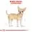 ROYAL CANIN ADULT ČIVAVA vrečka s pa&scaron;teto 24 x 85 g