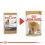 ROYAL CANIN ADULT YORKSHIRE 24 x 85 g - vrečka