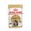 Vrećka z mačjo hrano ROYAL CANIN Maine Coon - 36 x 85 g