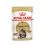 Vrećka z mačjo hrano ROYAL CANIN Maine Coon - 36 x 85 g