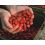 Shimano TX1 Boillie Strawberry 20mm - 1kg