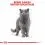 Royal Canin British Shorthair vrečke hrane  v soku za britanske kratkodlake mačke 24 x 85 g