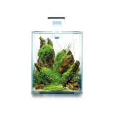 AQUAEL SHRIMP SET SMART D&N 20 BEL