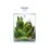 AQUAEL SHRIMP SET SMART D&N 20 BEL