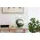 AQUAEL SHRIMP SET SMART D&N 30 BEL