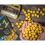 Shimano TX1 Boillie Banana & Pineapple 20mm - 5kg