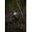 Shimano TX-5A Carp 3,05m/3.00lb