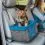 Kurgo Heather Booster Seat Podporni sedež, Heather Grey/Coastal Blue