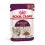 Royal Canin FHN Sensory Taste Gravy 36 x 85 g