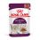 Royal Canin FHN Sensory Feel Gravy 24 x 85 g