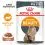 Royal Canin Hair & Skin Care Gravy vrečka 24 x 85 g
