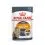 Royal Canin Hair & Skin Care Gravy vrečka 36 x 85 g