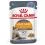 Royal Canin Hair & Skin Care Jelly vrečka za mačke 24 x 85 g