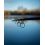FOX EOS X 10FT 3,0 m / 3.0 LB TELESCOPIC
