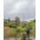 Matrix Aquos Ultra-D Feeder Rod 3.7m/80g/2