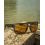 Matrix Casual Polarised Sunglasses