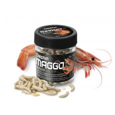 Delphin MaggoX Pop Up / Kozica