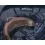 Shimano YASEI Single hand rubber net Foldable - Floating