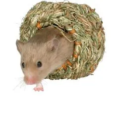 Hi&scaron;ice za glodavce
