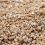 Terrabloom Vermiculite 5 L