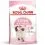 ROYAL CANIN Kitten briketi za mucke v drugi fazi rasti 4 kg