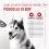 Royal Canin Joint & Ageing Chews Adult Supplements 240 g