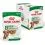Royal Canin Dog Mini Ageing vrečke s hrano v omaki 12 x 85 g