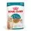 Royal Canin AGEING 15+ Gravy ko&scaron;čki v omaki za mačke, starej&scaron;e od 15 let - 36 x 85 g